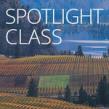 Spotlight on Brunello's Ciacci with Winemaker Alex Bianchini