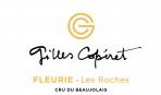 Dom Gilles Coperet - Fleurie Les Roches 2023 (750)