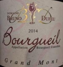 Dom Bruno Dufeu - Borgueil Grand Mont 2020 (750ml) (750ml)