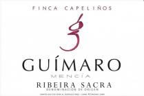 Guimaro - Ribeira Sacra Finca Capelinos 2020 (750ml) (750ml)