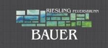 Josef Bauer - Riesling Feuersbrunn 2021 (750ml) (750ml)